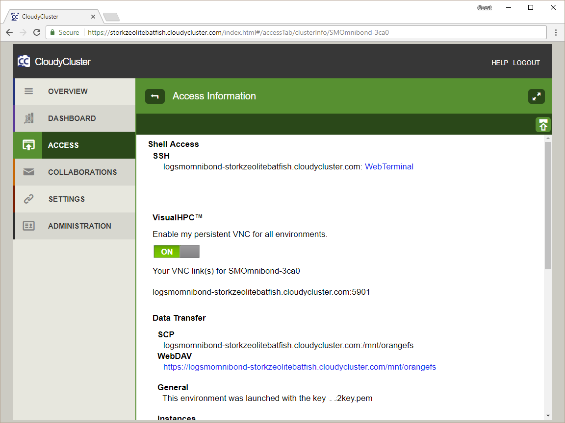 Access Tab Screen